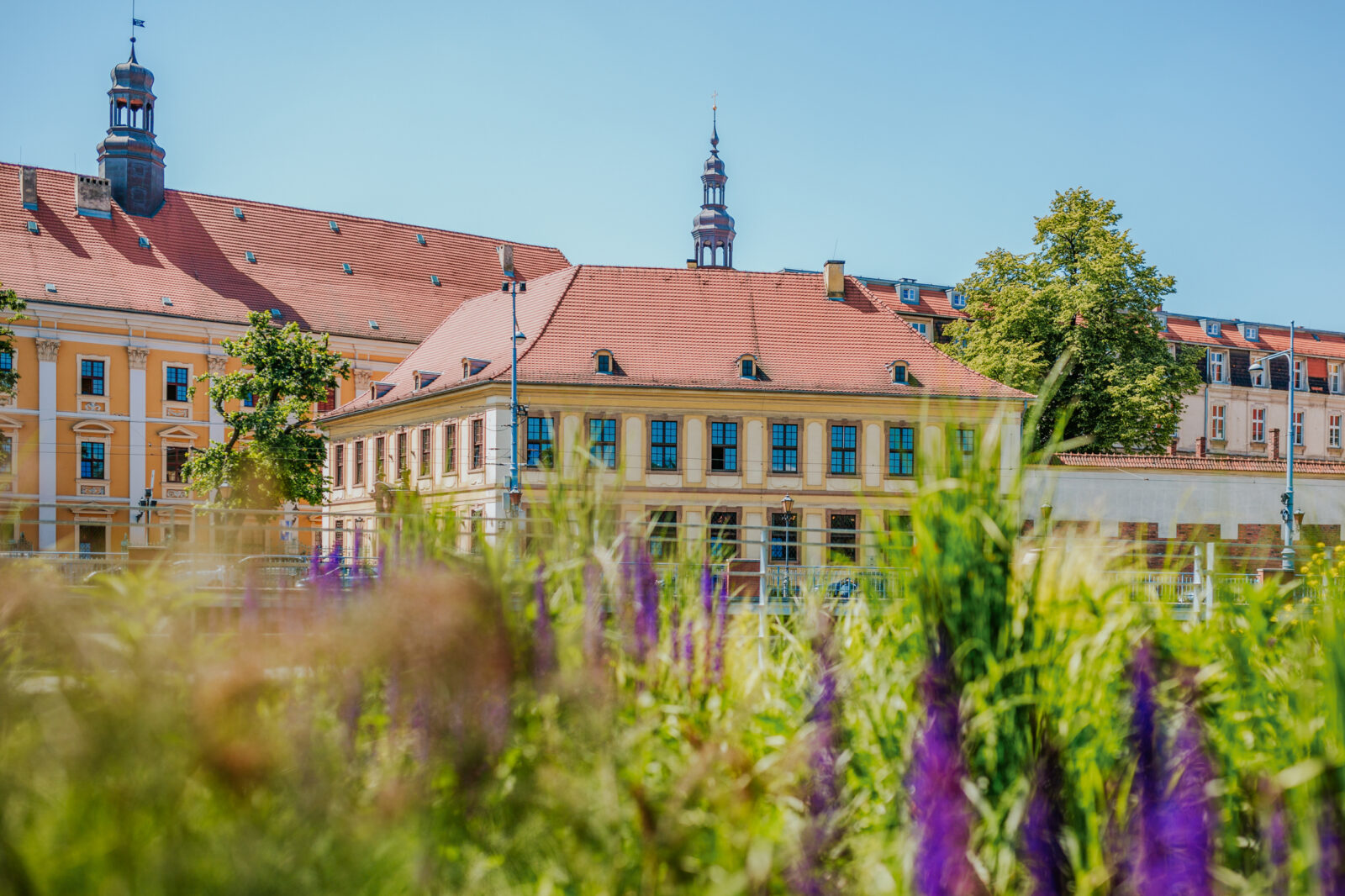 Budynek Uniwersytetu