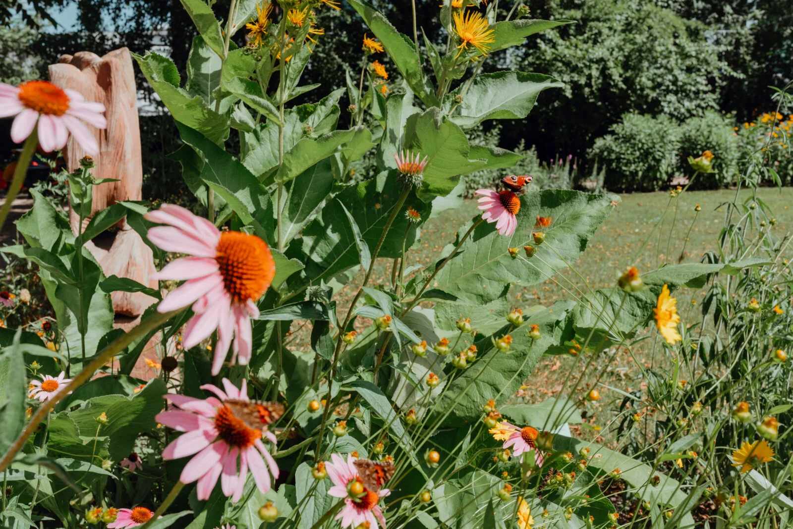 rabatka z kwiatami w ogrodzie