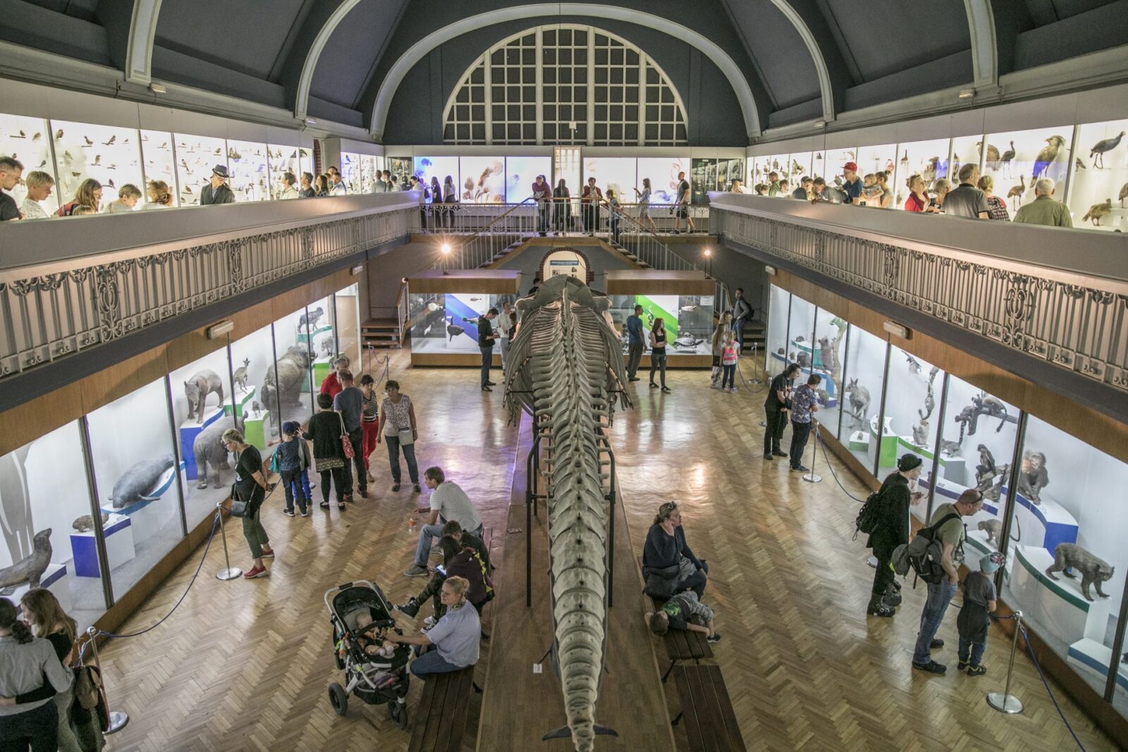 muzeum przyrodnicze