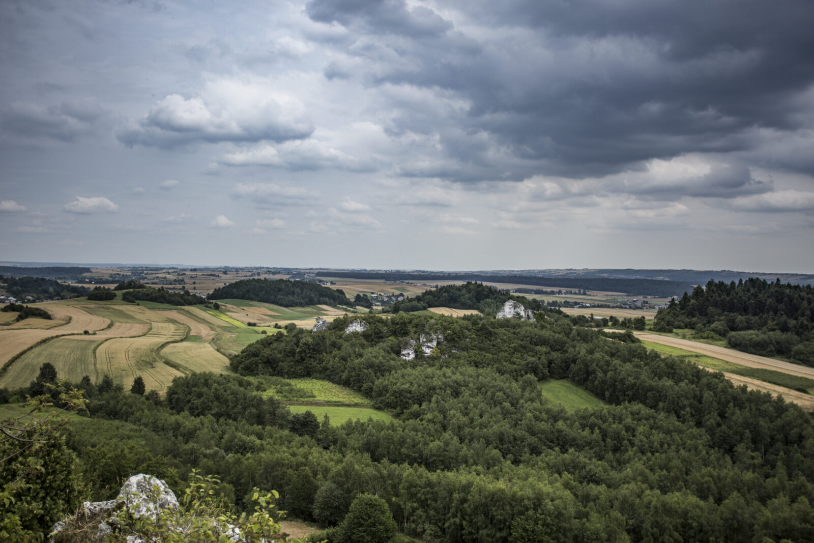 Widok na Dolinę Wodącej ze Skał Zegarowej
