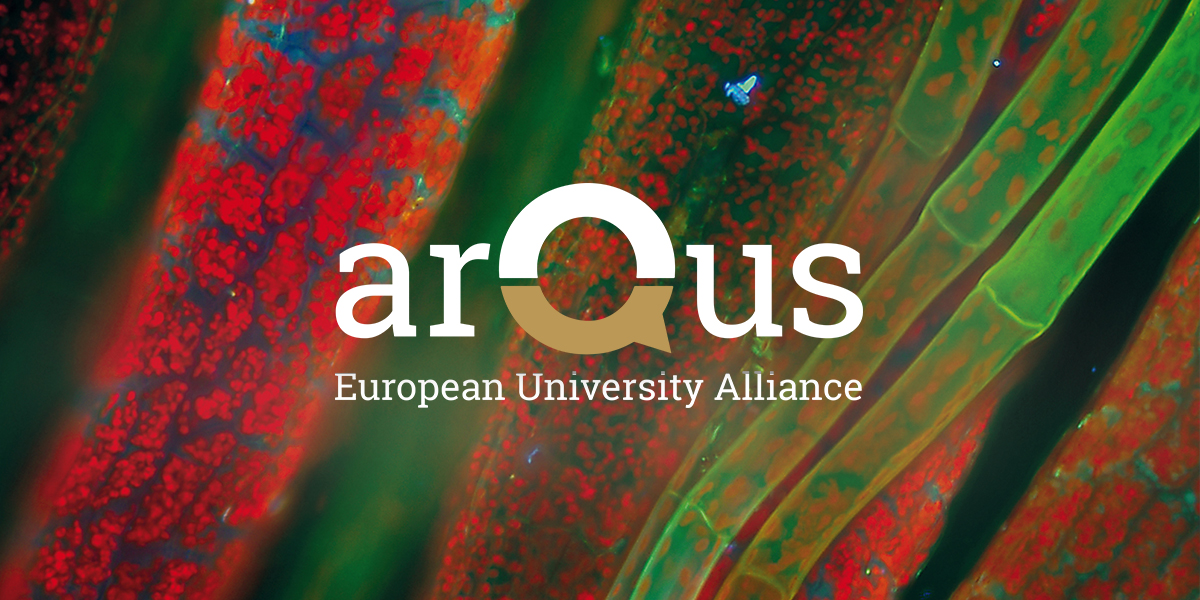 Arqus