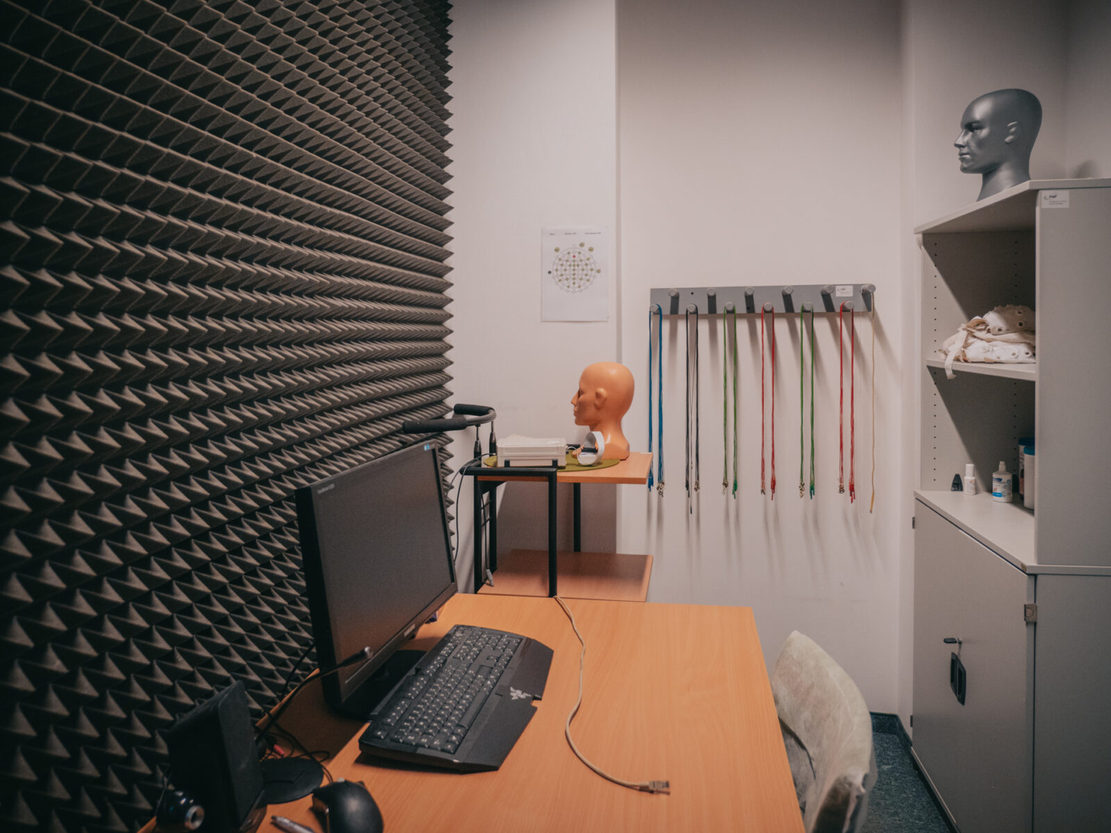 laboratorium psycholingwistyczne