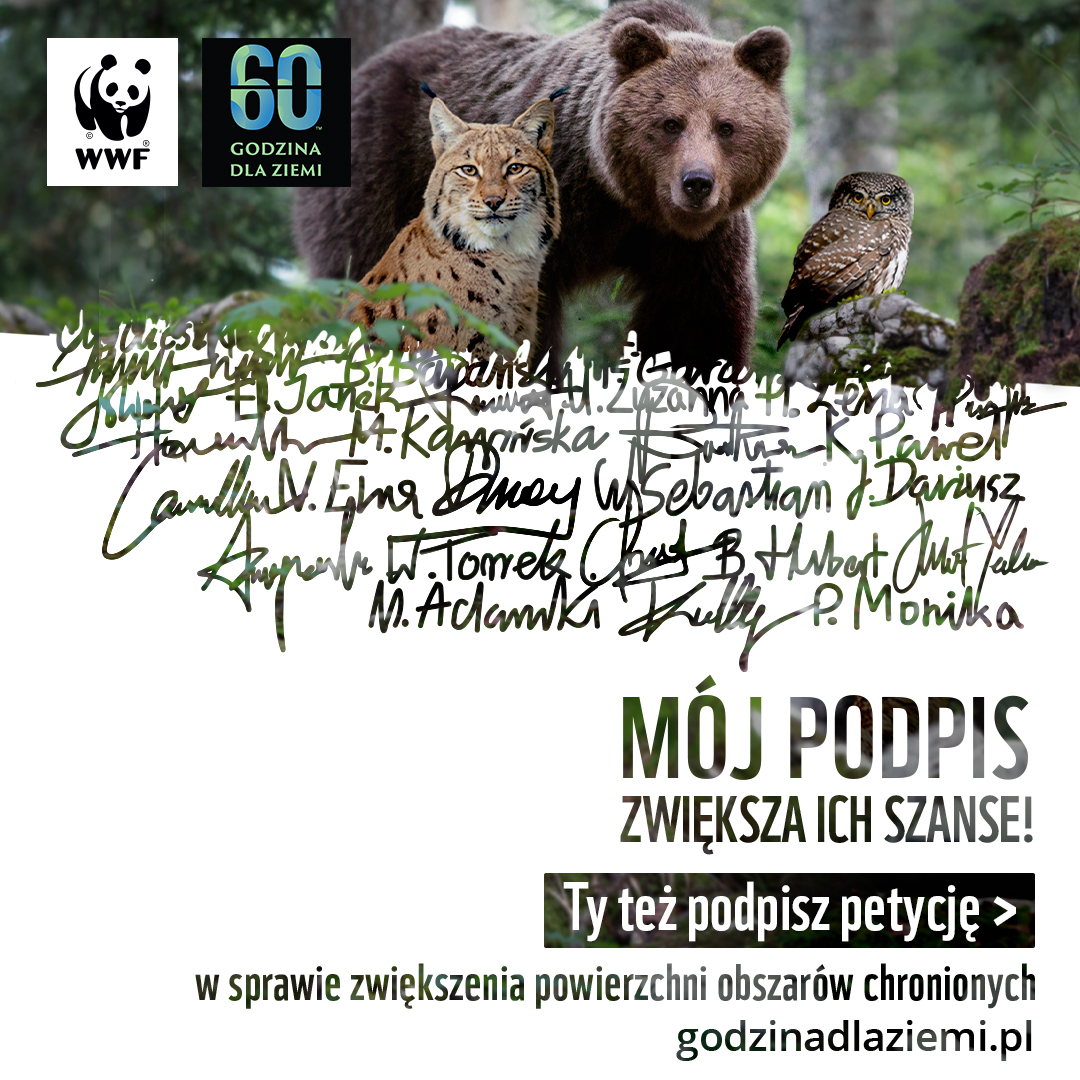 Grafika: ryś, niedźwiedź, sowa, pod spodem napis Mój podpis zwiększa ich szanse! Podpisz petycję