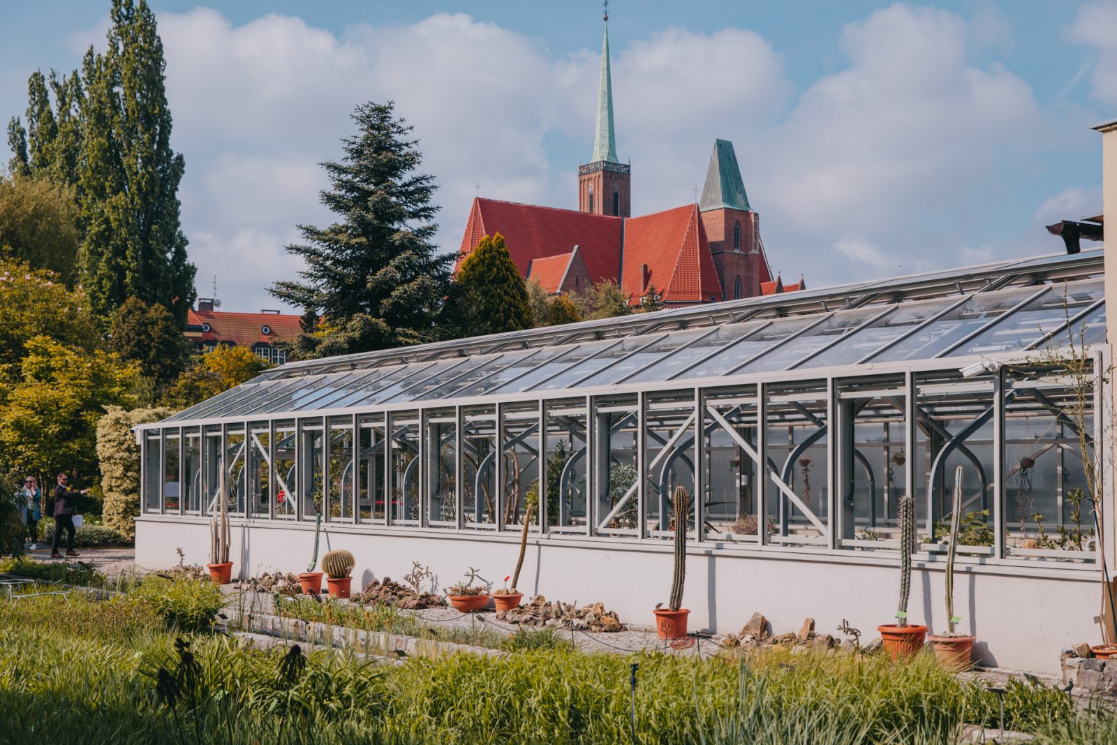 szklarnia a za nią duży kościół z czerwonym dachem