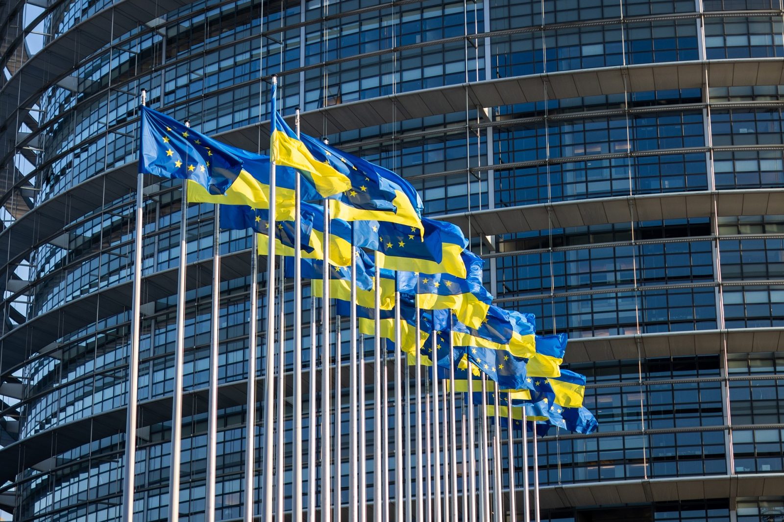 dwa szeregi masztów z powiewającymi flagami Ukrainy i Unii Europejskiej na tle wysokiego budynku
