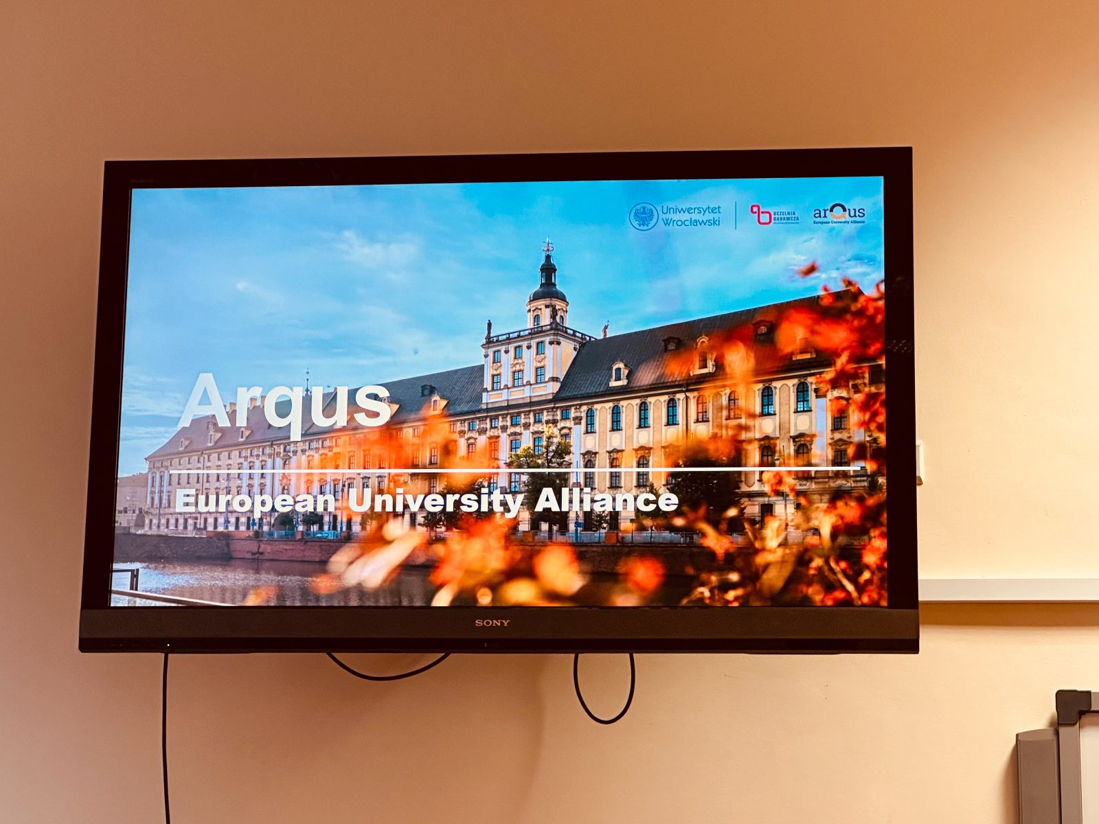 Spotkanie informacyjne Arqus - Wydział Filologiczny