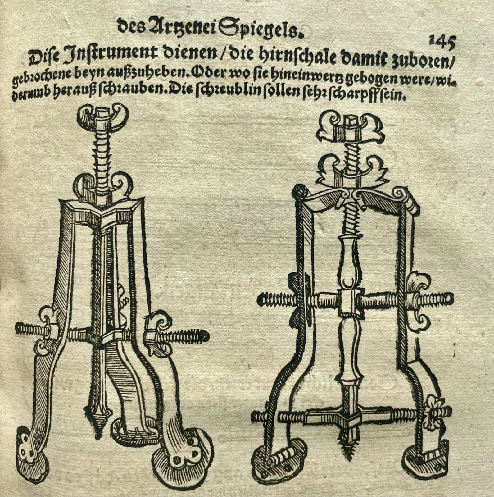 Fot. Archiwum BUWr.