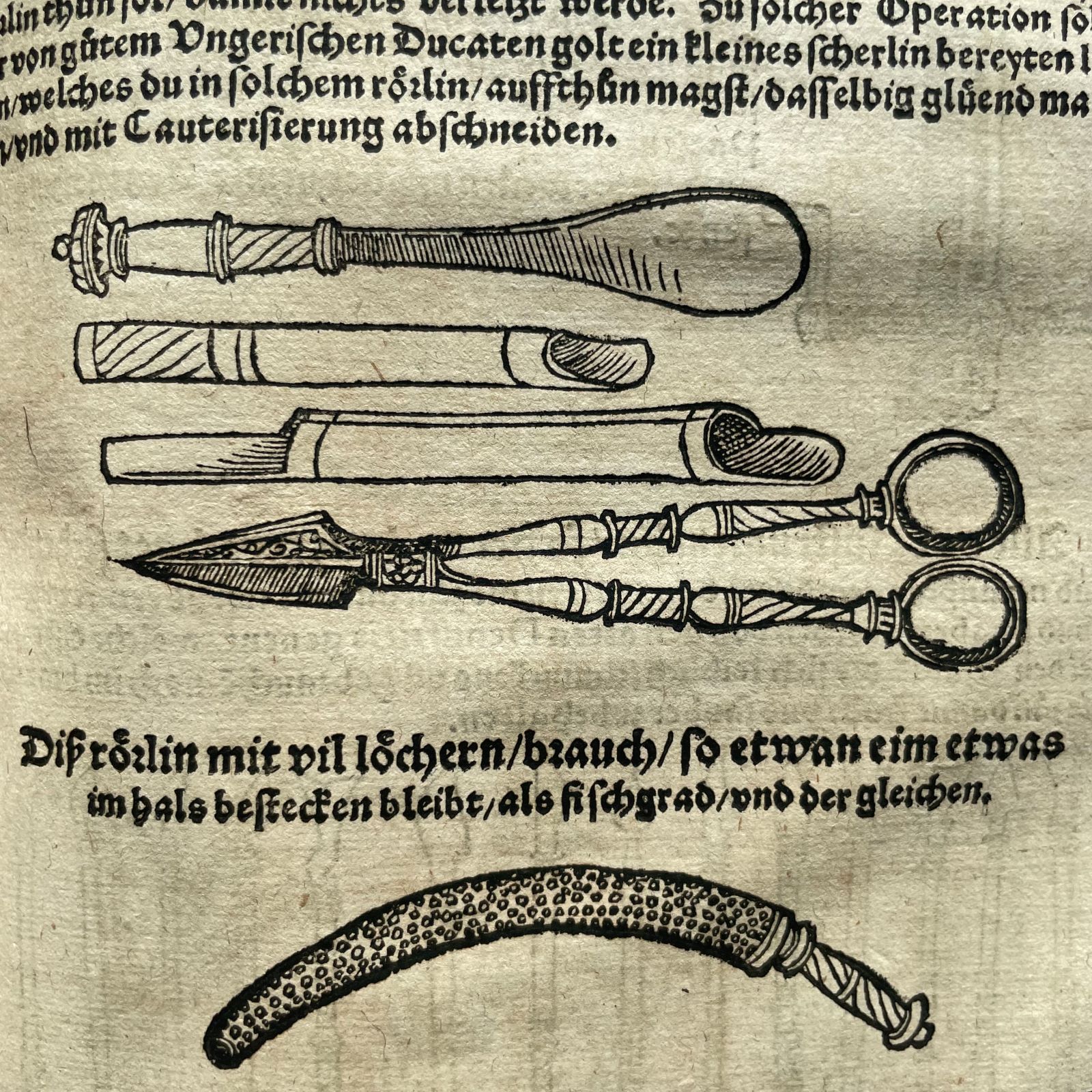 Fot. Archiwum BUWr.