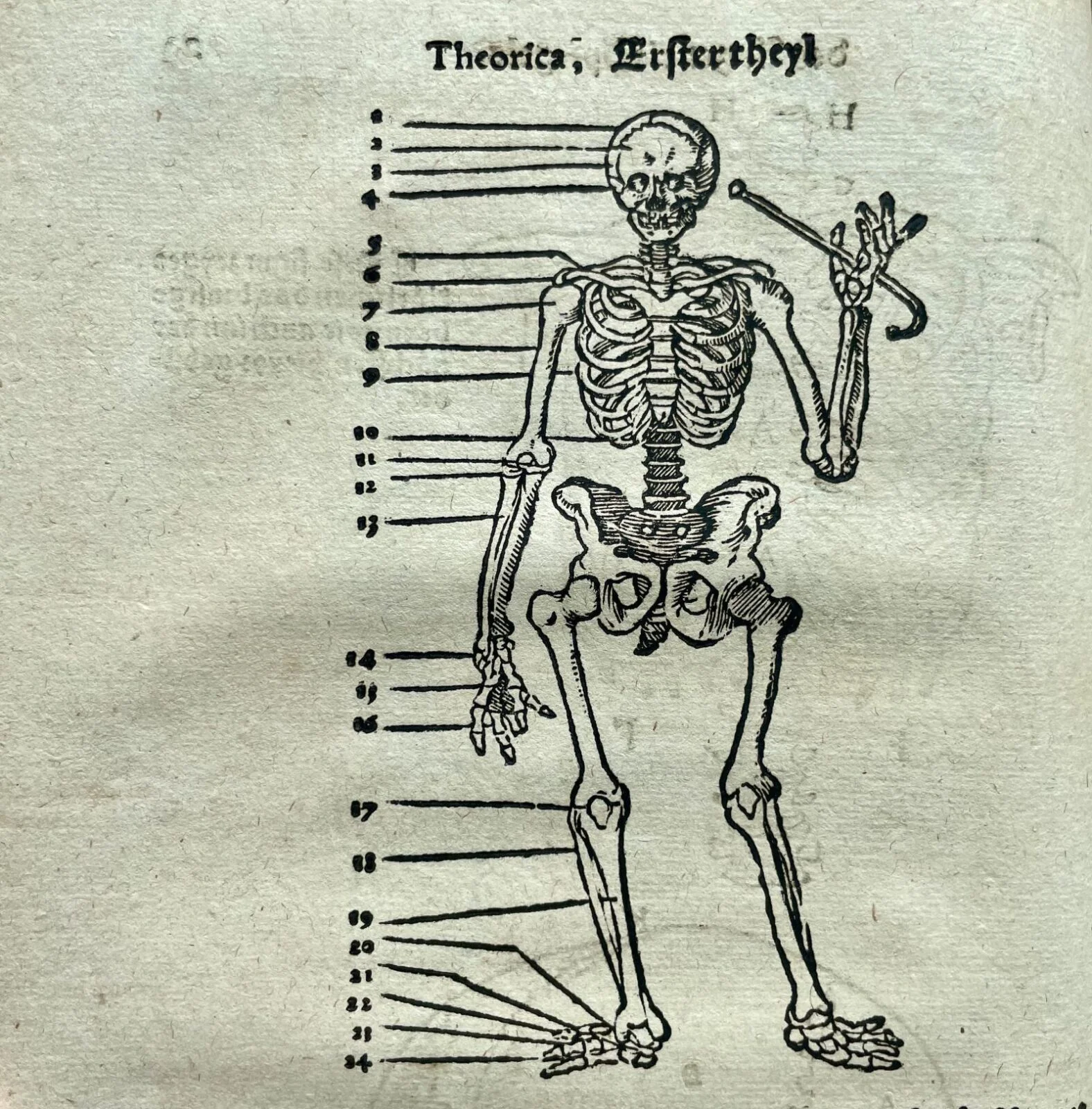 Fot. Archiwum BUWr.