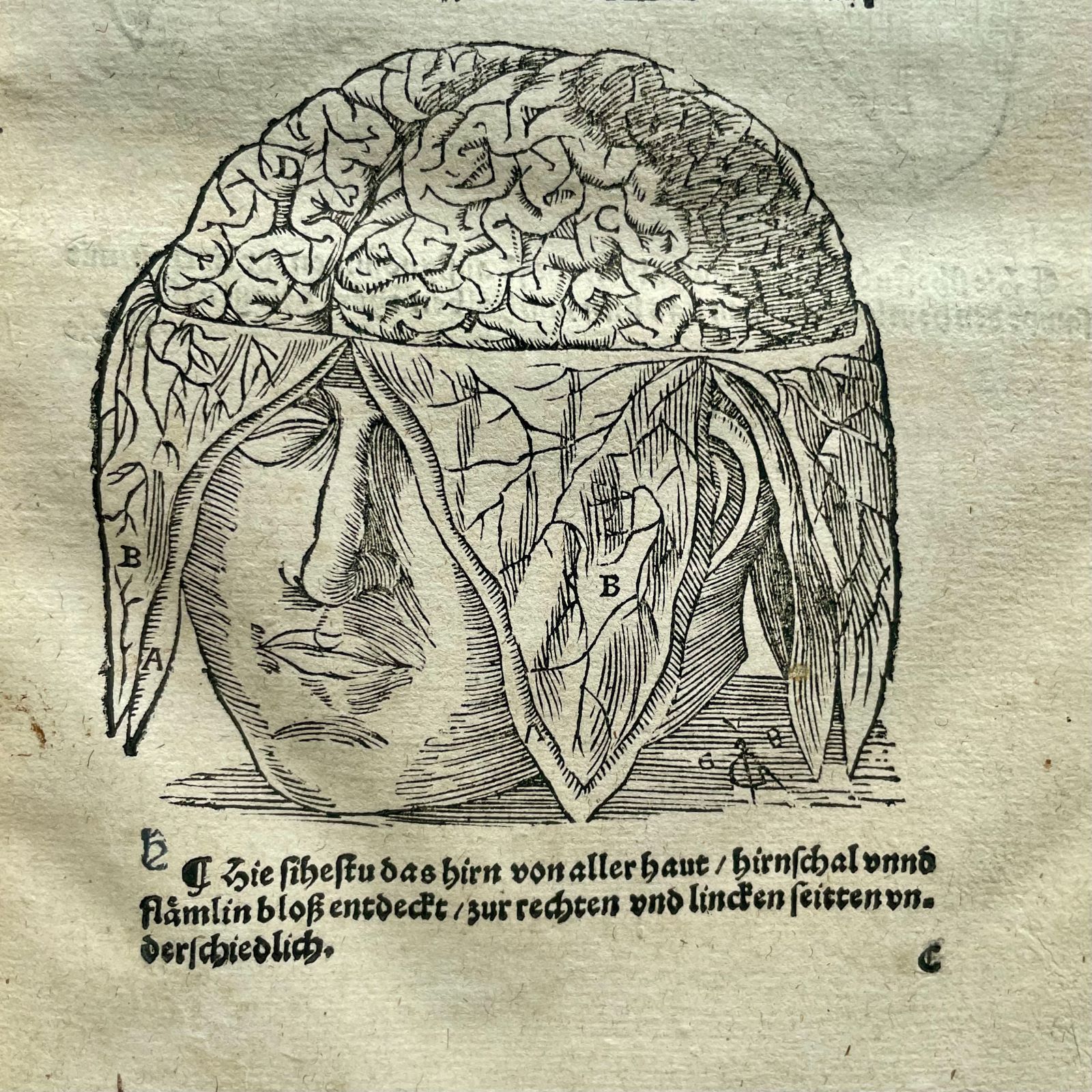 Fot. Archiwum BUWr.