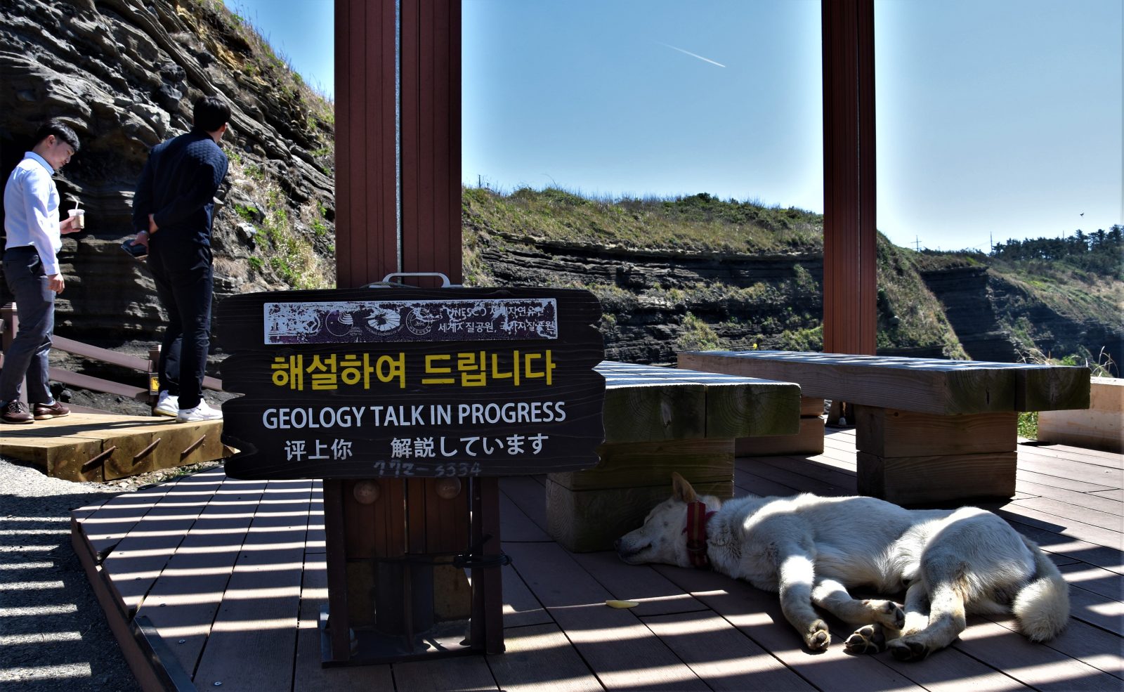 Pali Pali Korea
