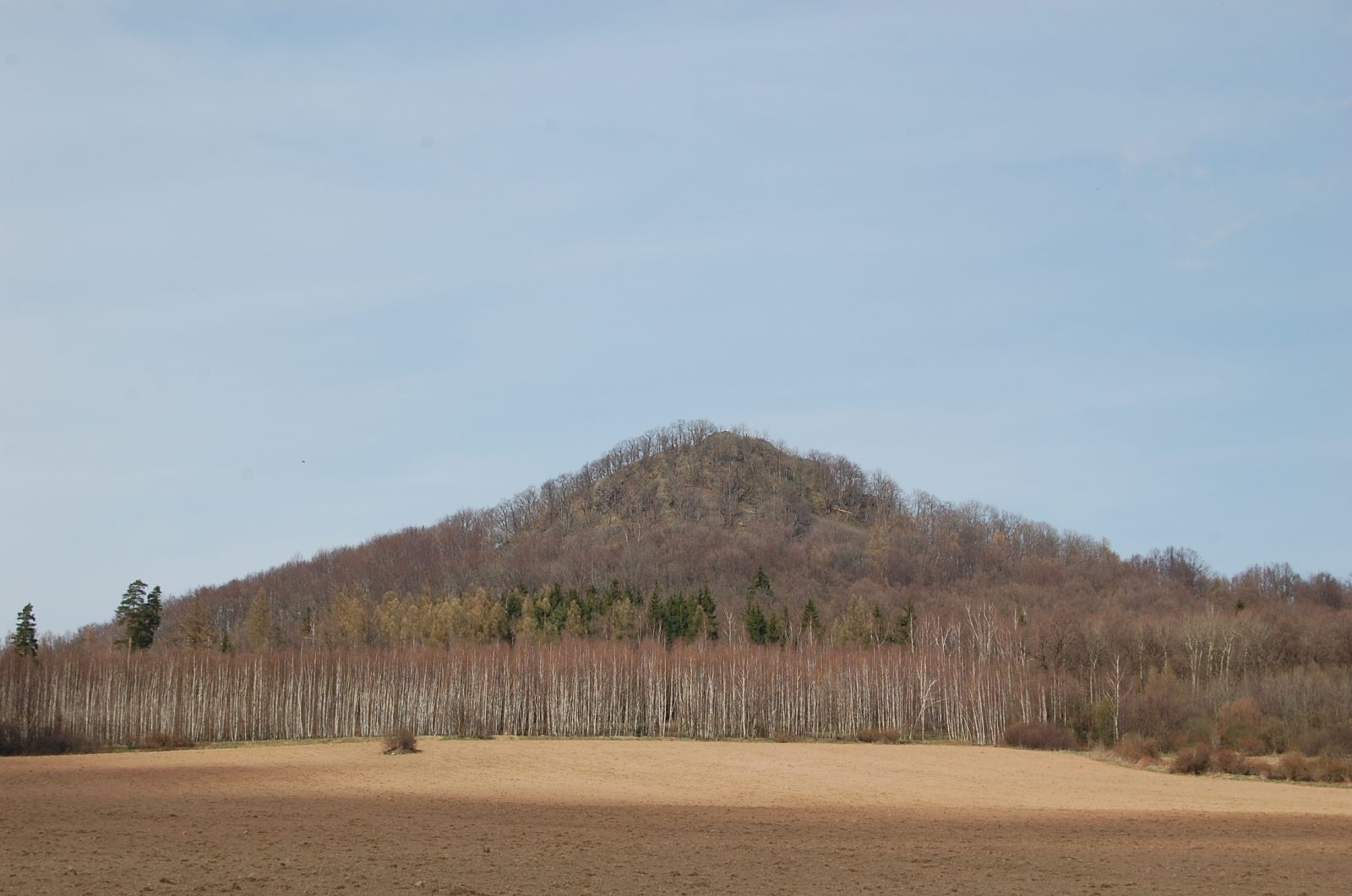 Bazaltowa Ostrzyca jest jednym z symboli Światowego Geoparku UNESCO Kraina Wygasłych Wulkanów, fot. Piotr Migoń