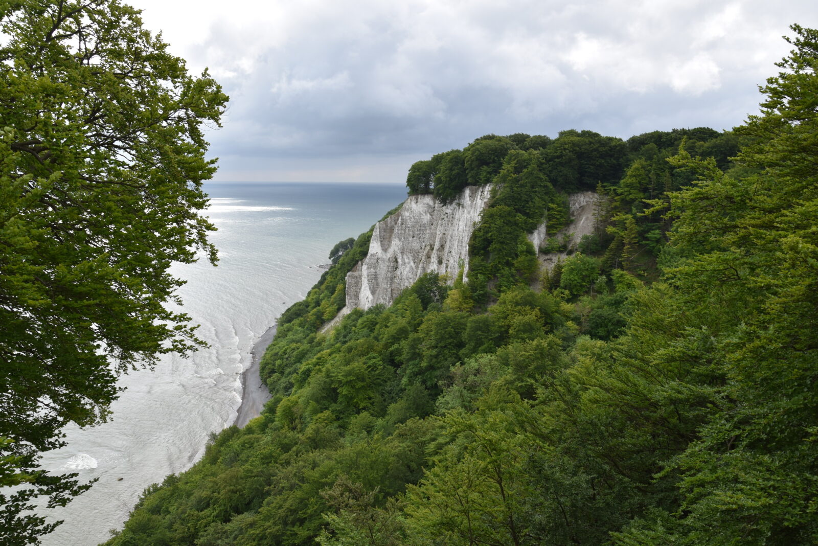 Jasmund klify DSC_0793