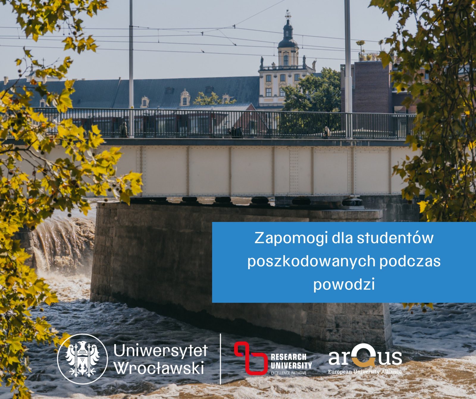 zapomogi dla studentow