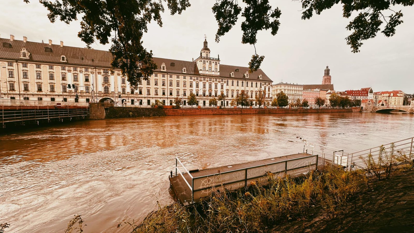 gmach główny uniwersytetu wrocławskiego