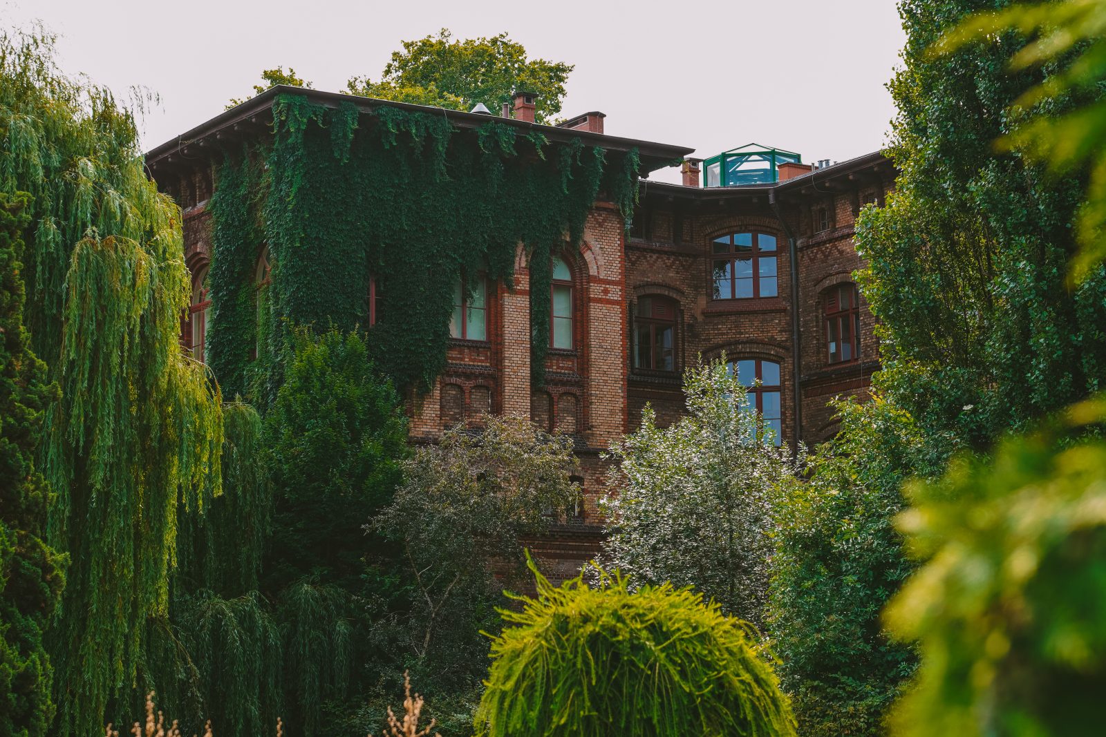 zdjęcie przedstawiające budynek biologii w ogrodzie botanicznym uwr