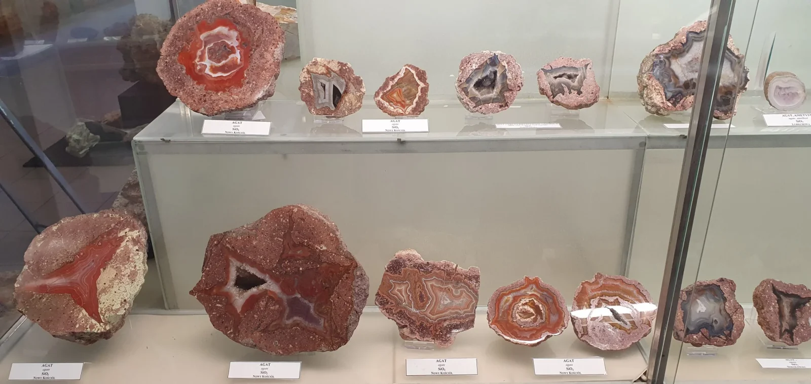 minerały w gablocie muzealnej