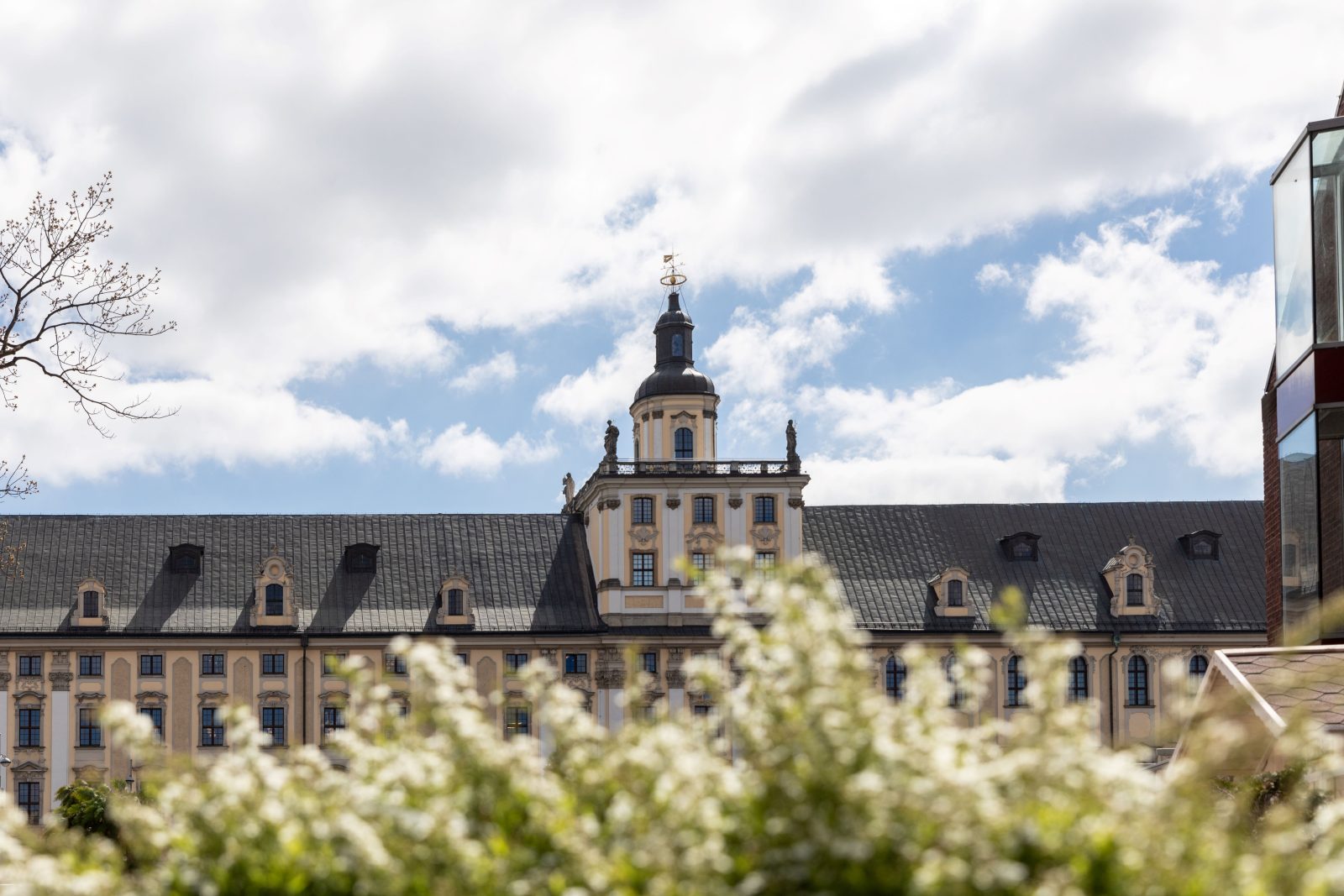 historyczny budynek z wieżą na srodku, przed nim trawa