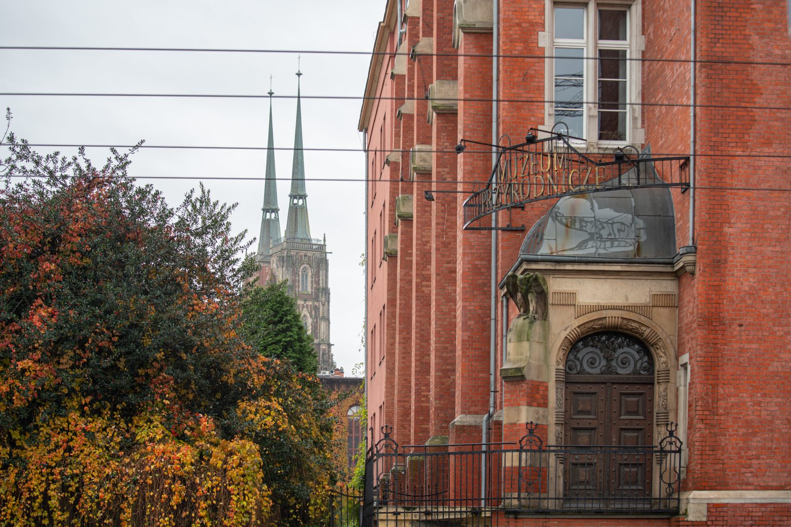 grafika przedstawiająca budynek muzeum przyrodniczego z zewnątrz