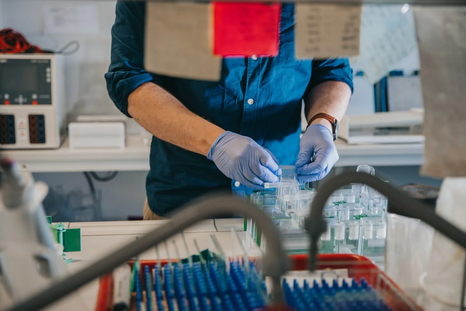 ręce ludzkie nad probówkami w laboratorium