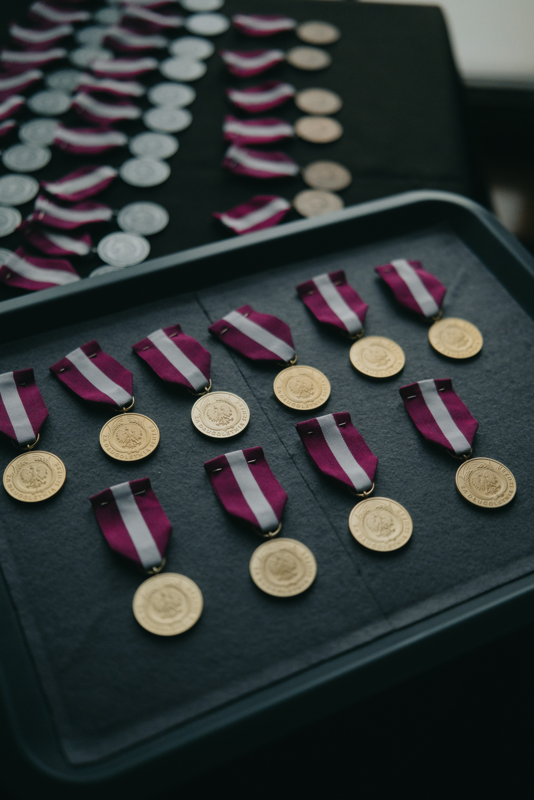 Święto 80-lecia Uniwersytetu Wrocławskiego, fot. Alina Metelytsia-Kolisnyk