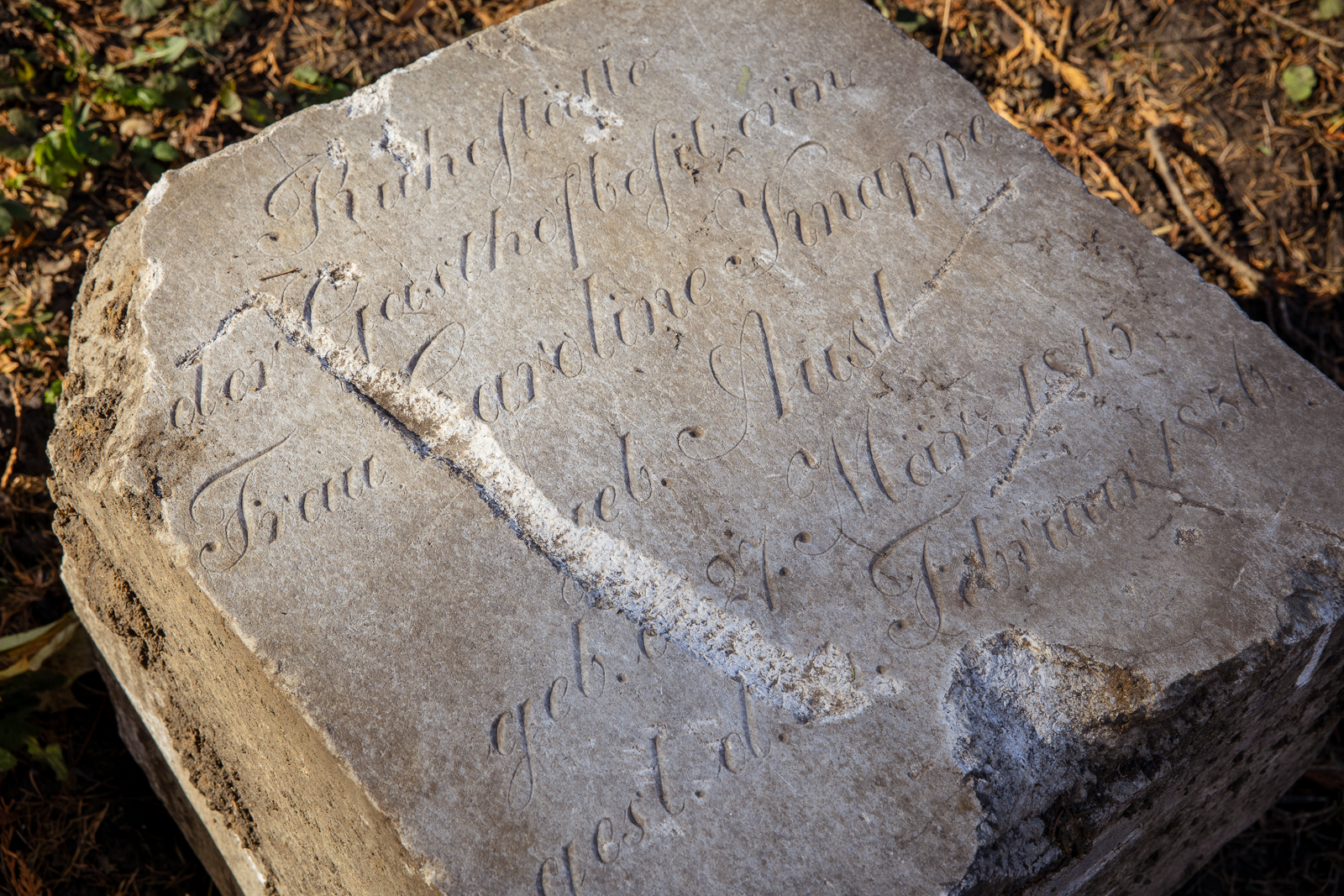 Ogród Botaniczny cmentarz