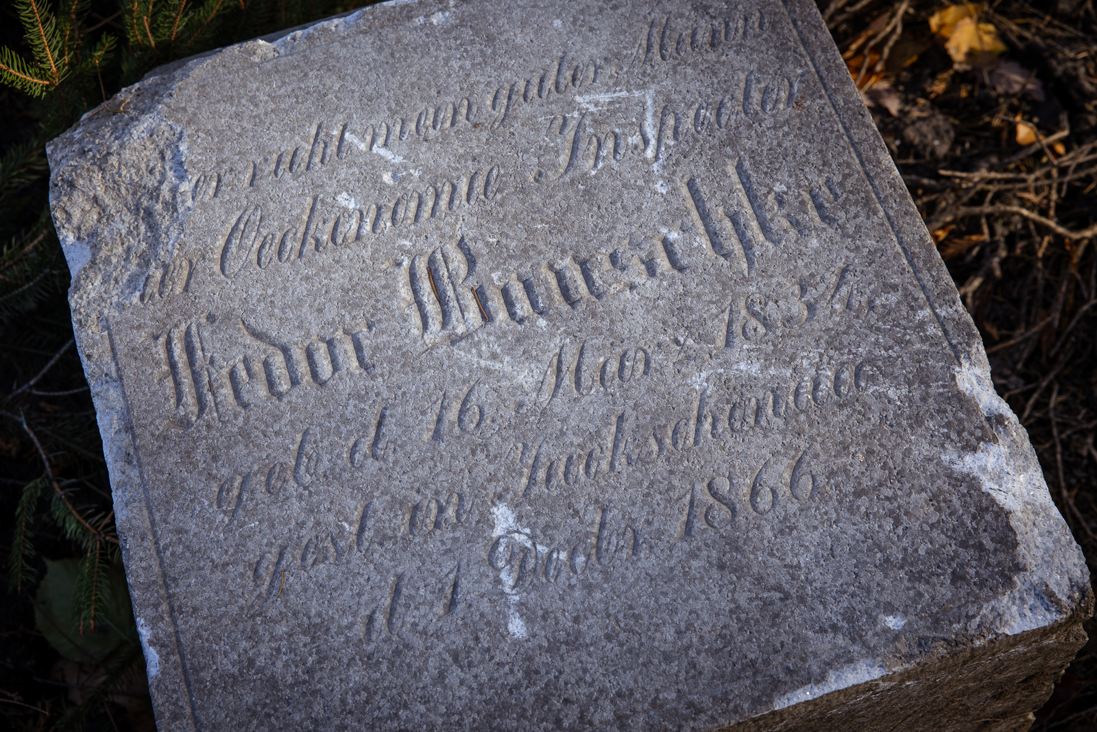 Ogród Botaniczny cmentarz