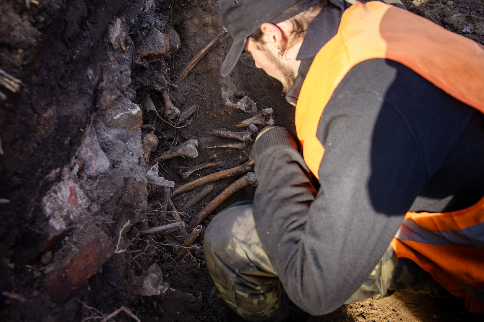 Ogród Botaniczny cmentarz