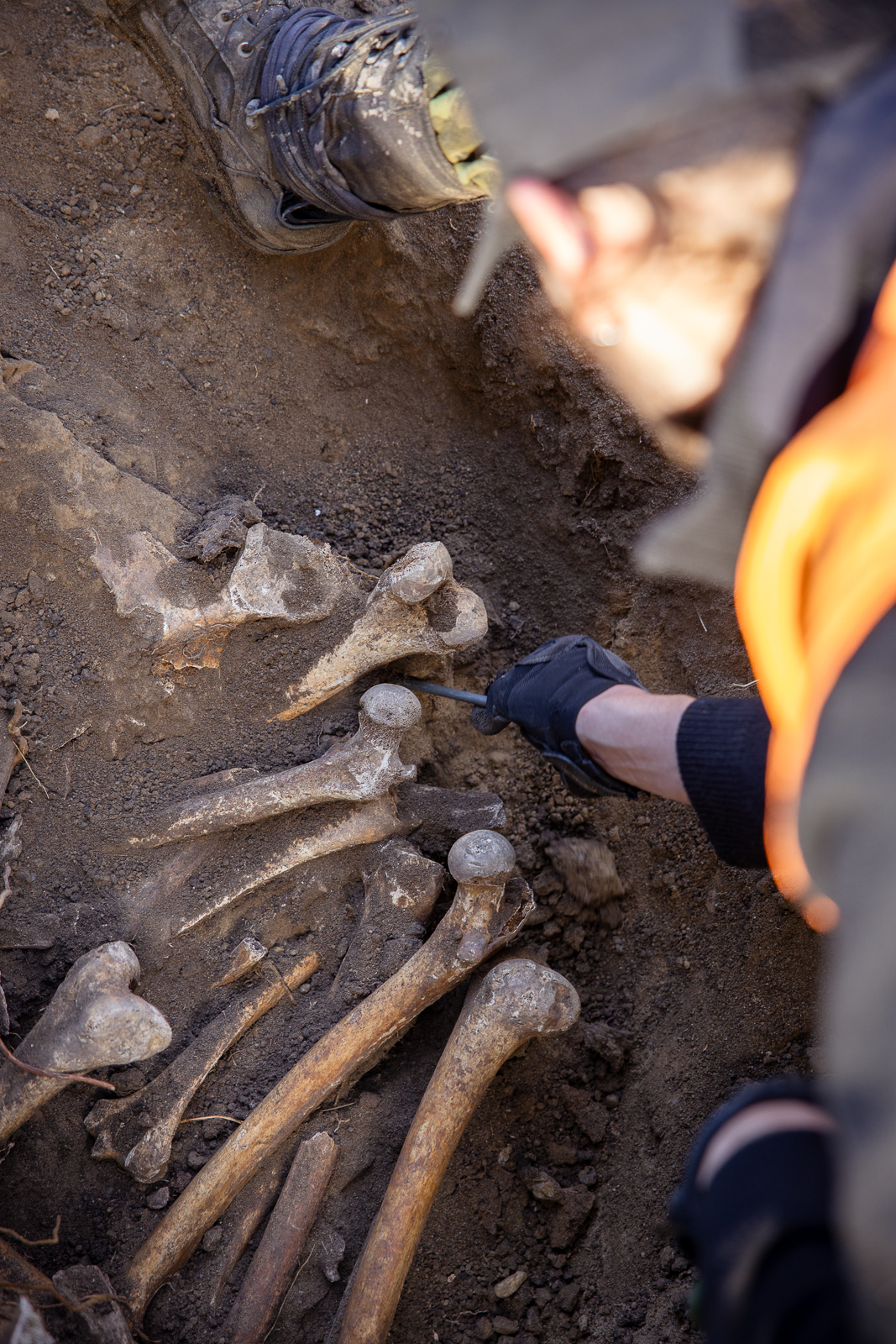 Ogród Botaniczny cmentarz