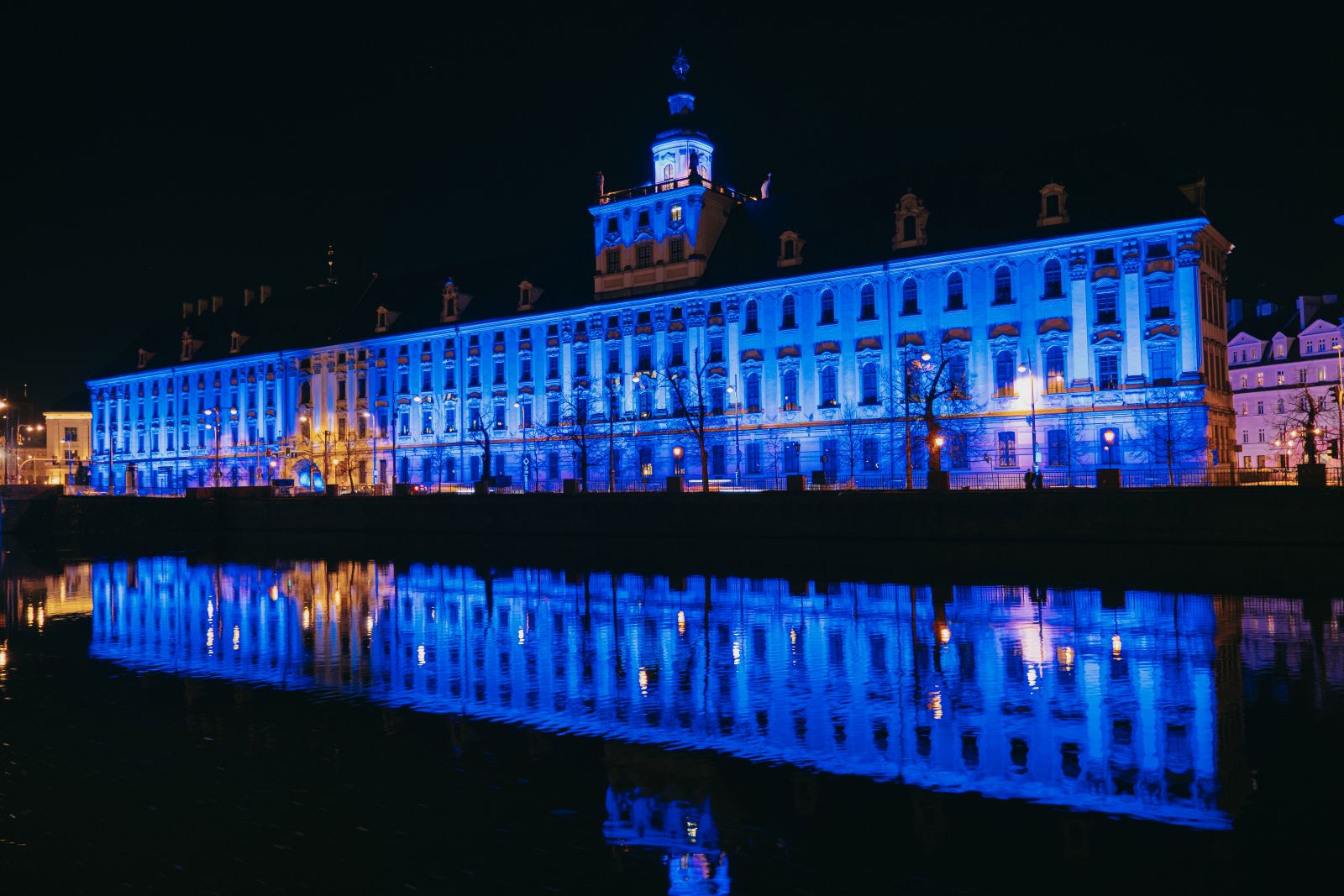 Fot. Alina Metelytsia-Kolisnyk