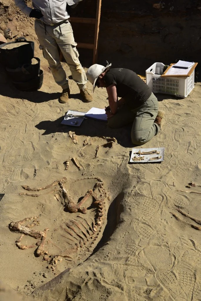 człowiek kopie w zimie