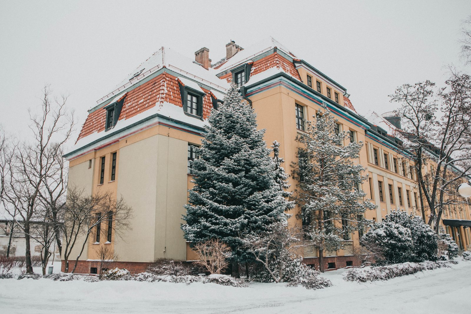 zdjęcie przedstawiające kampus wydziału nauk społecznych zimą
