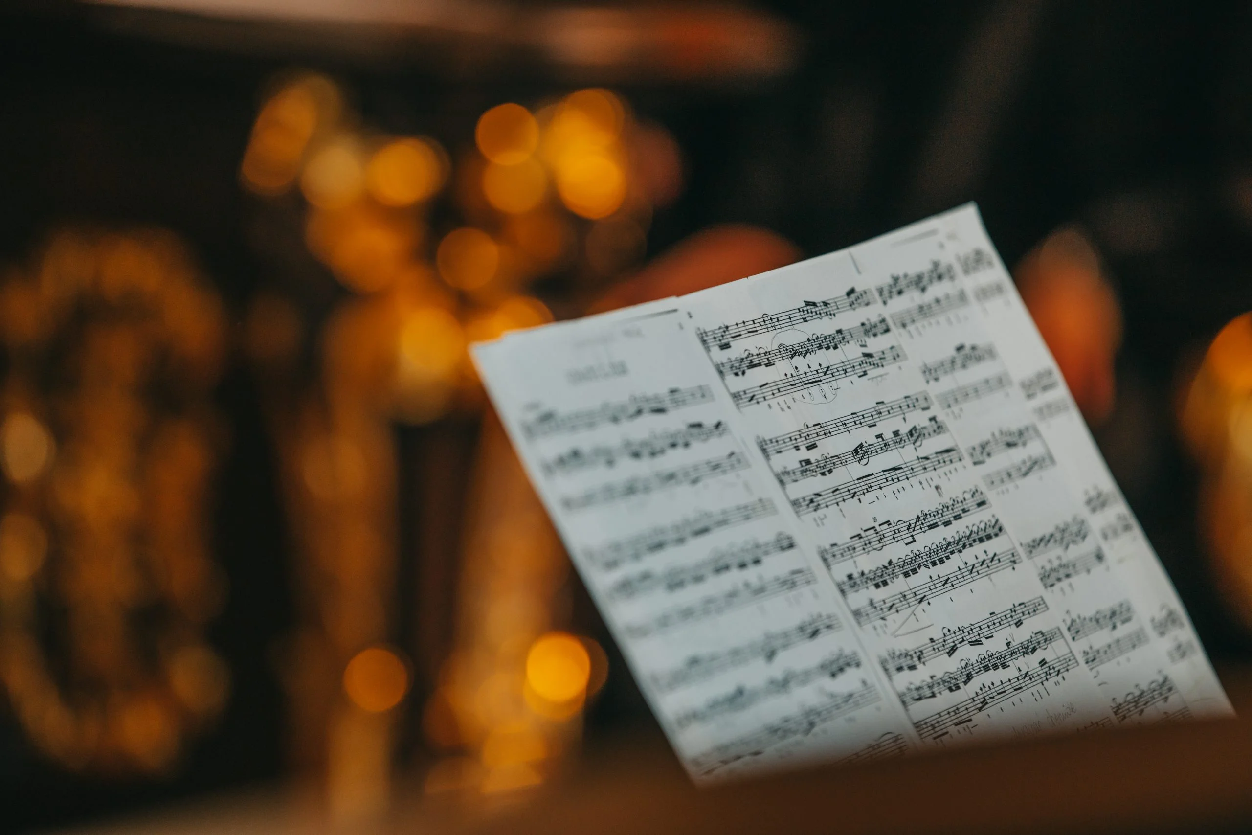 Uroczysty koncert dla Rektora Seniora, prof. Adama Jezierskiego