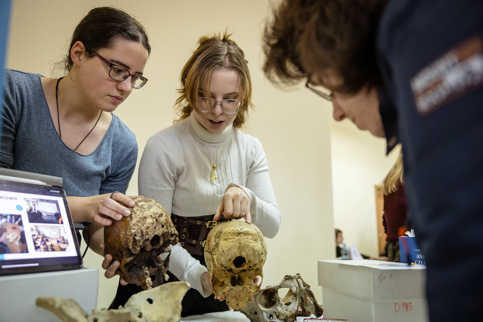 dziewczyny z czaszkami