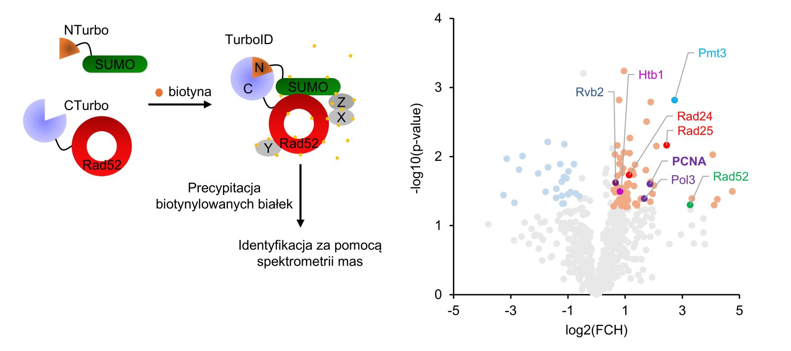 kolorowe grafy z wynikami badań