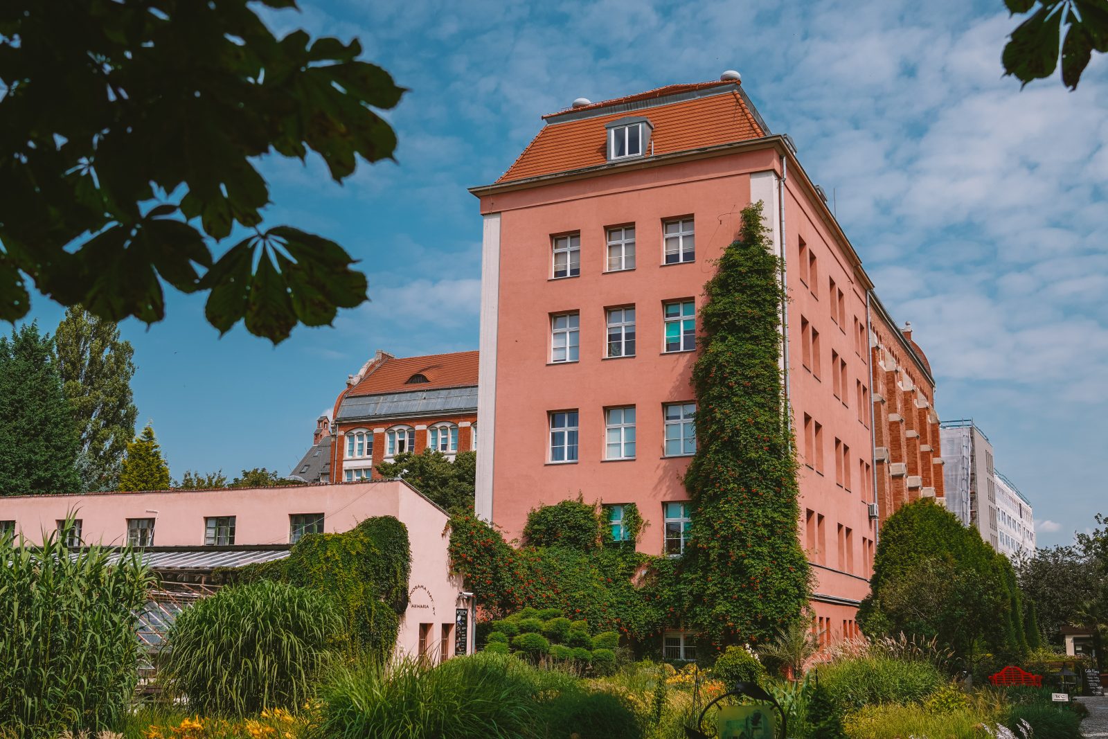 Wysoki budynek z czerwonymi ścianami i dachem, ukryty za drzewami i krzewami porastającymi częściowo jego ściany, niebo z białymi chmurami