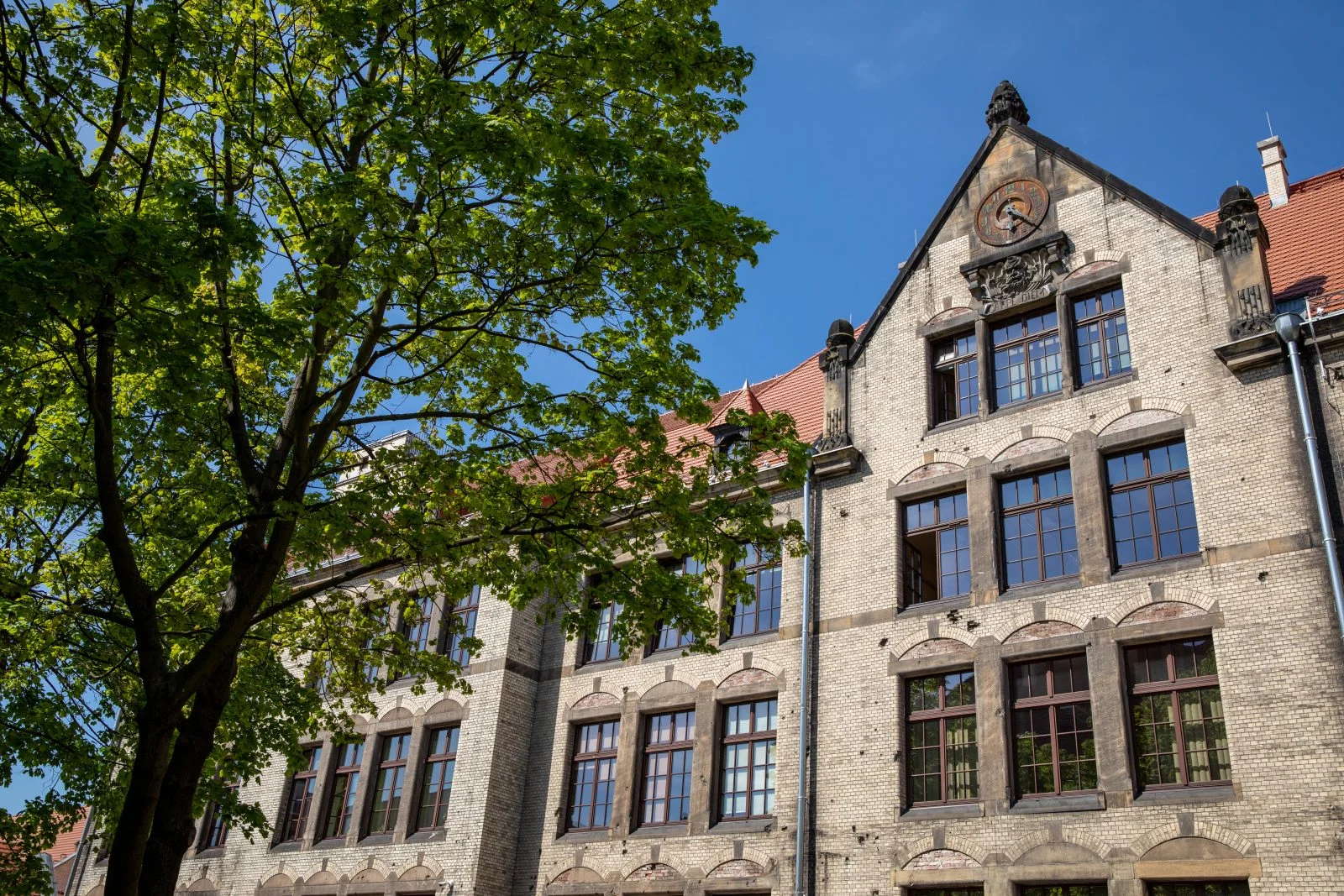 Duży budynek z jasnych cegieł, z wielkimi oknami, ukryty za drzewem