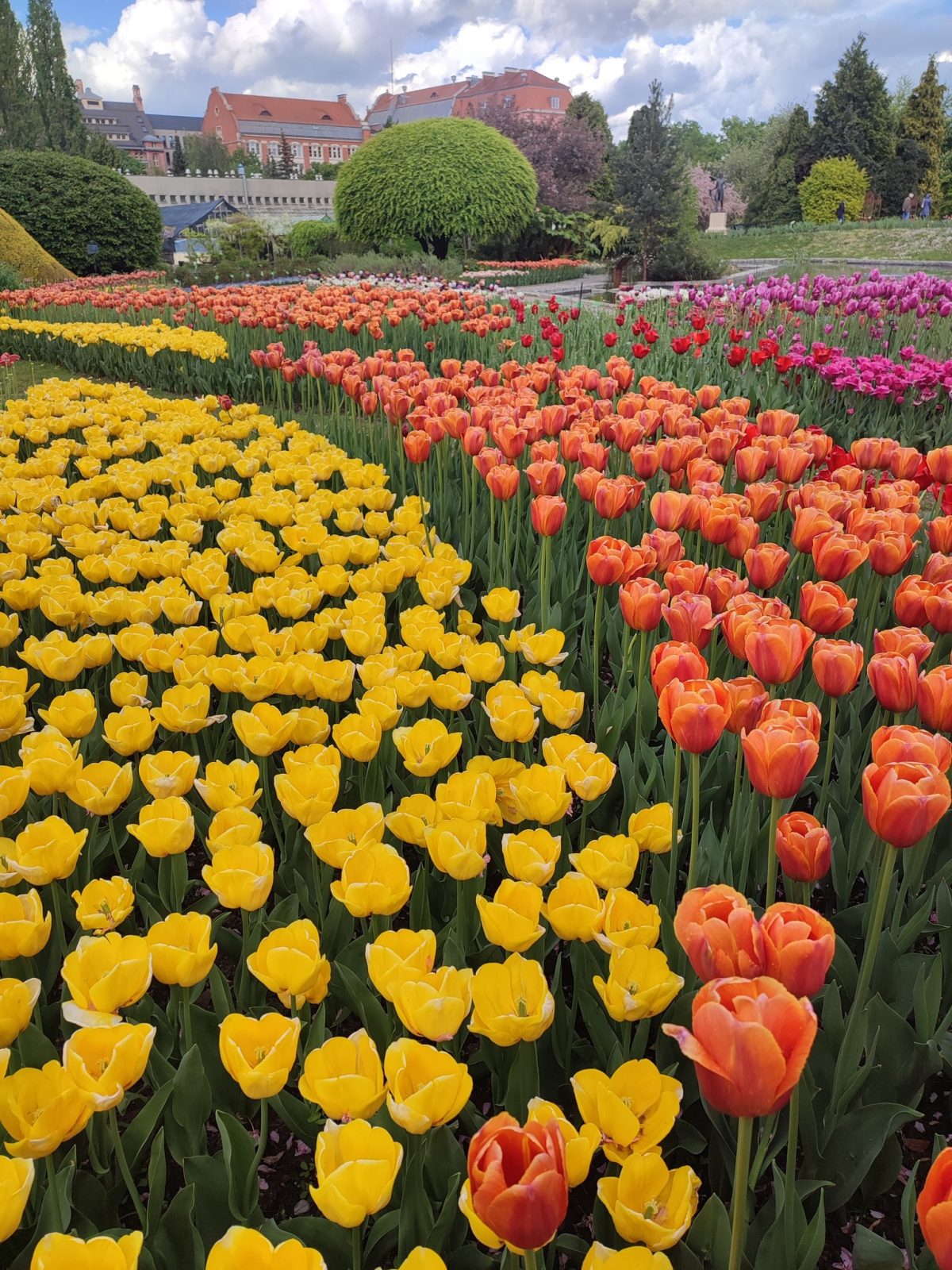 Ogród Botaniczny UWr