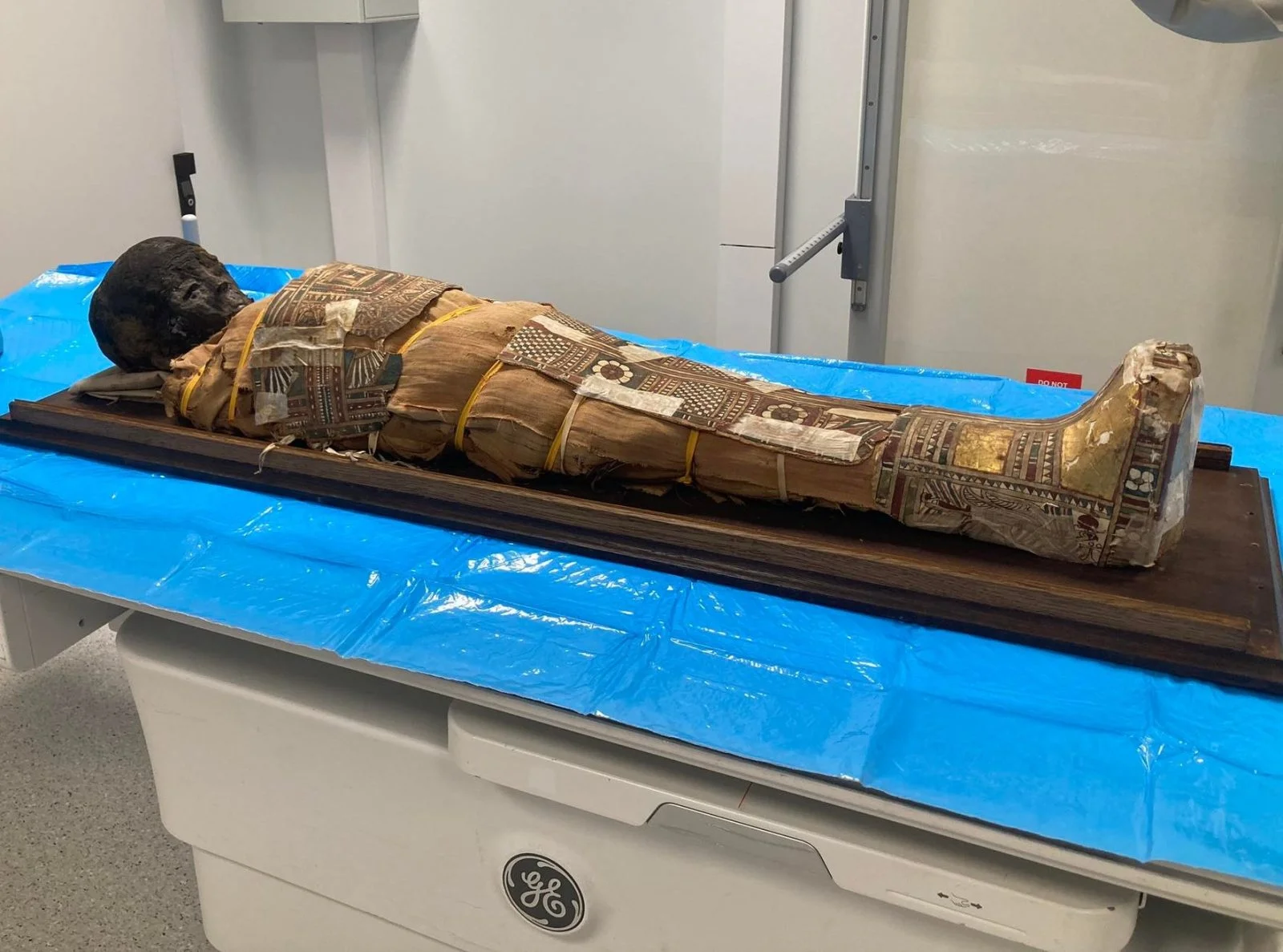 Fot. Marzena Ożarek-Szilke