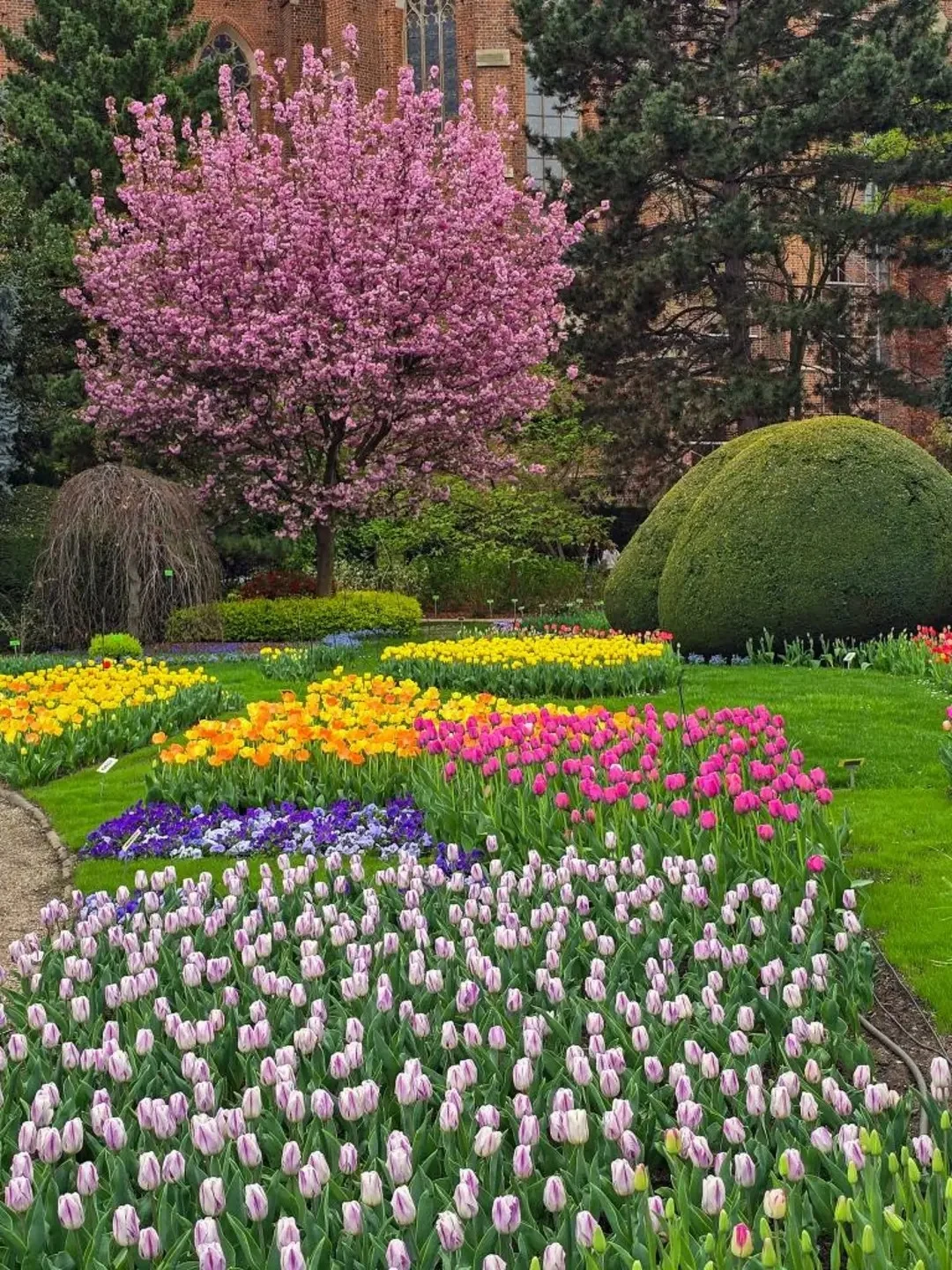 Ogród Botaniczny UWr