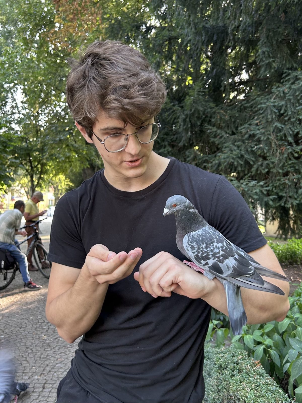 chłopak trzymający na ręce gołębia