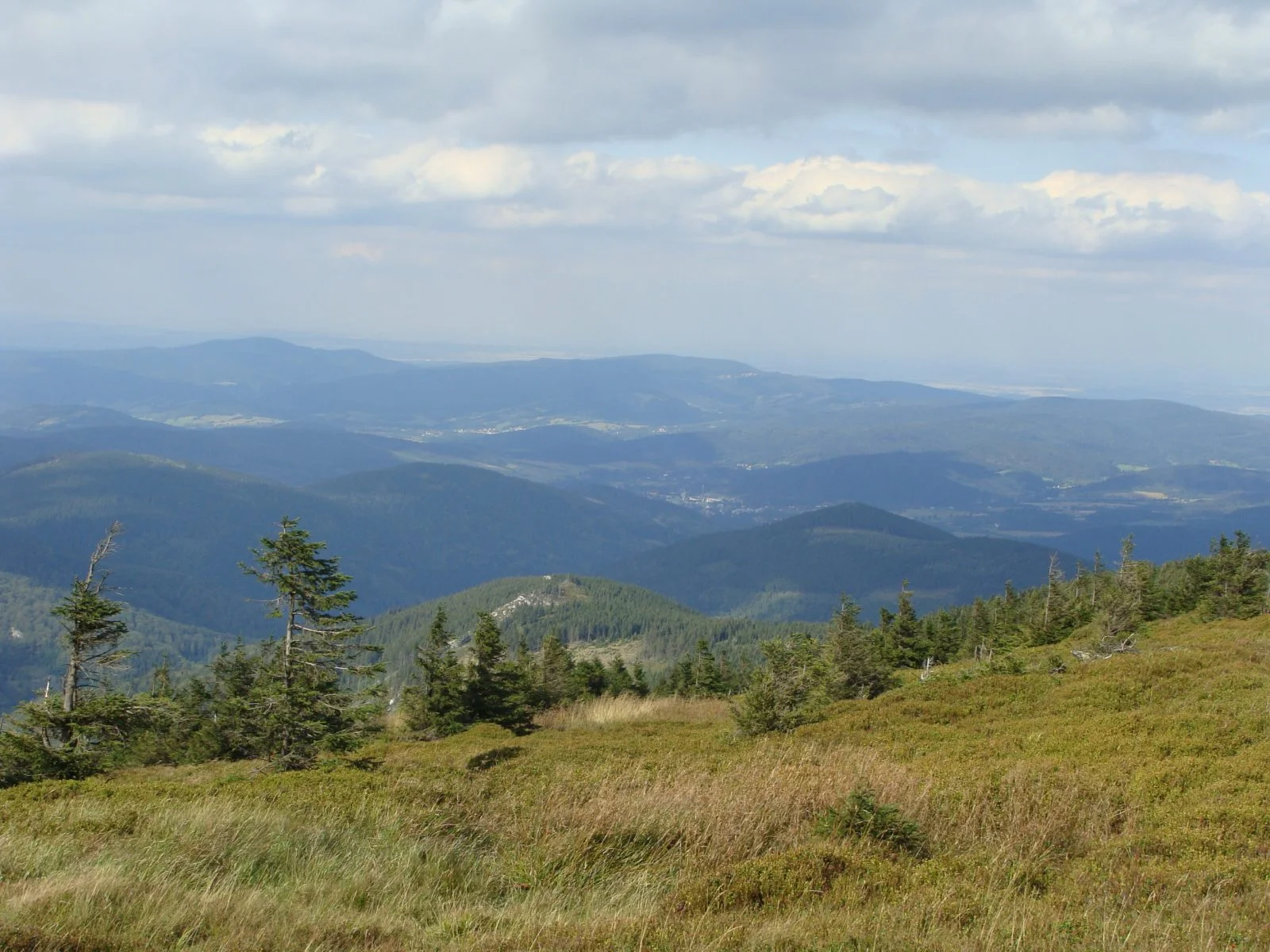 górskie łąki porośnięte trawą