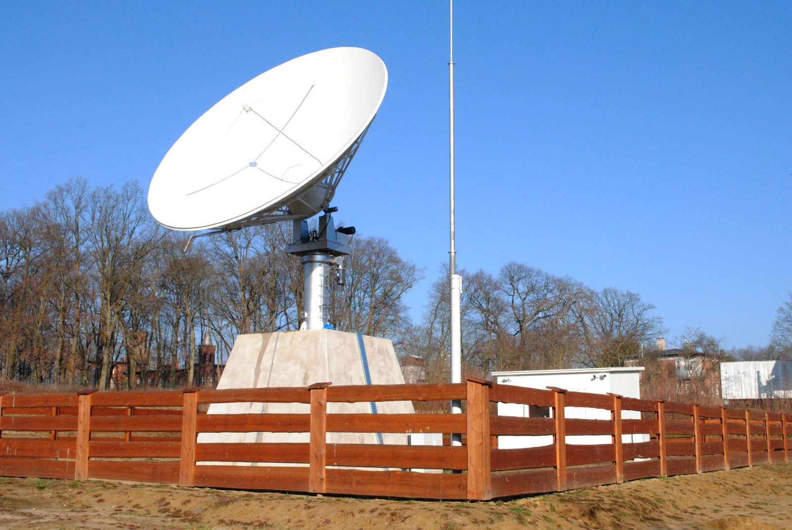 Rosie cała na zdjęciu