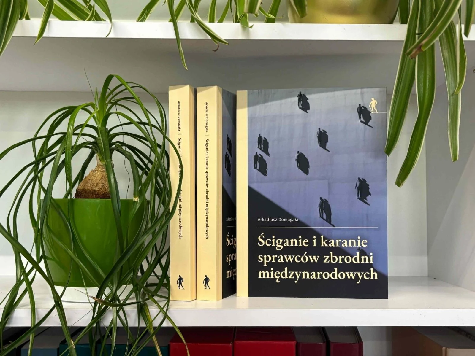 książka i doniczka z kwiatkiem na półce regału