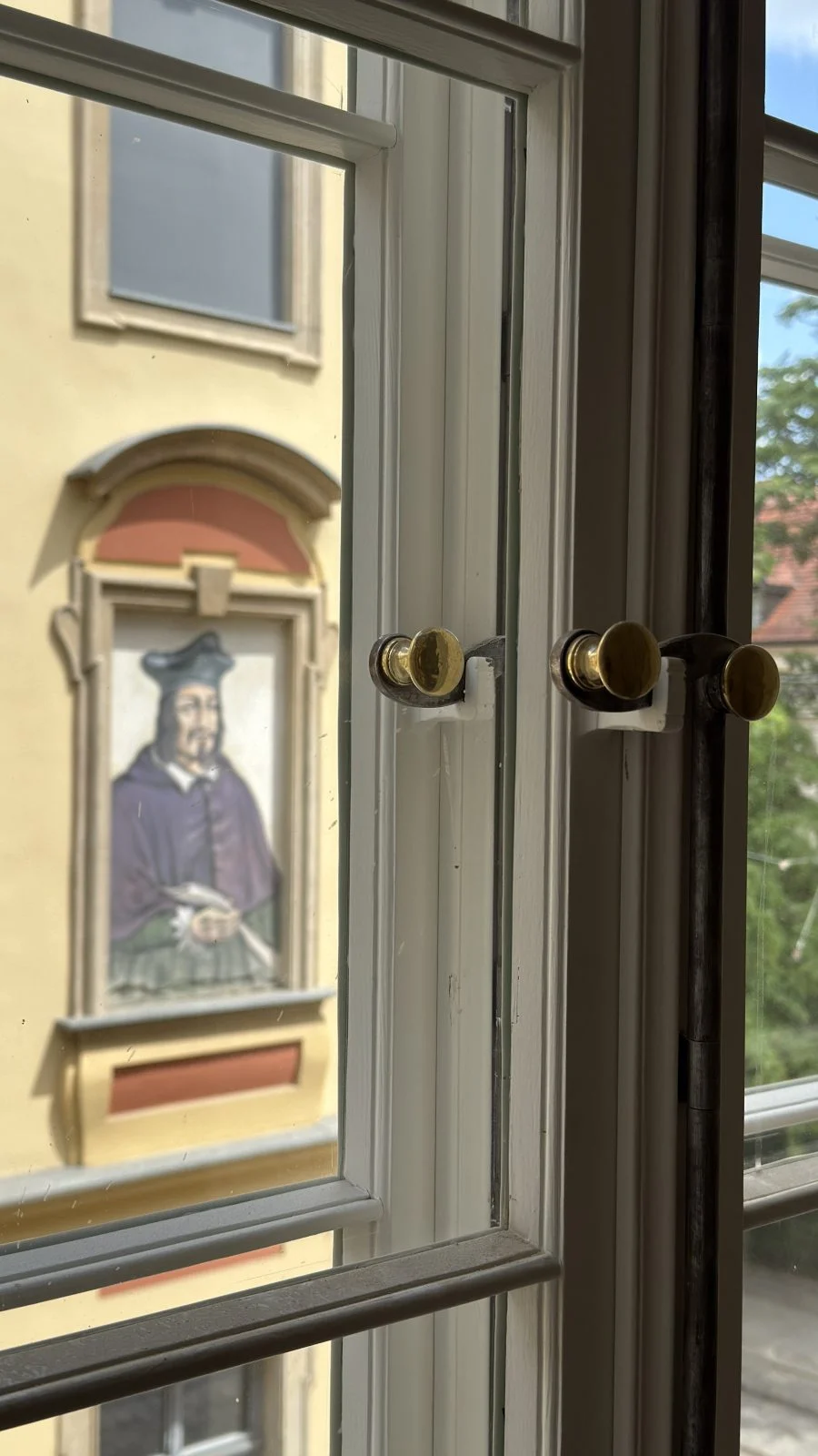 Zawrotnice bagnetowe w oknie