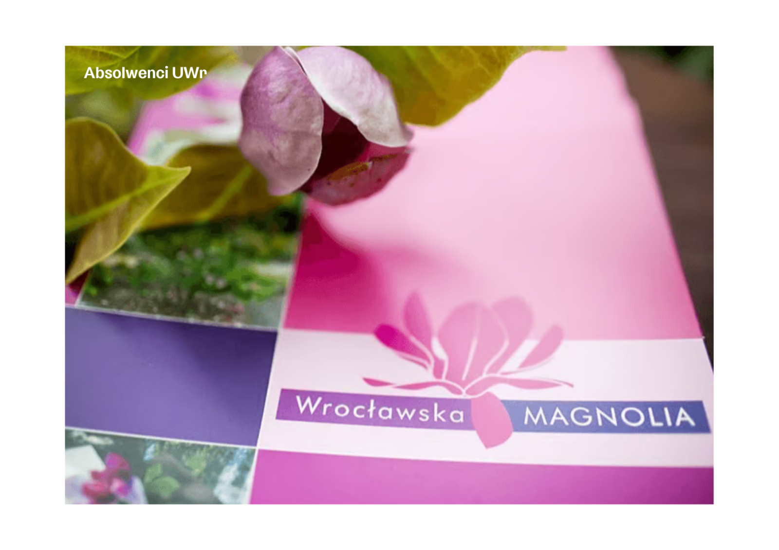 Dwie absolwentki Wydziału Nauk Biologicznych Uniwersytetu Wrocławskiego zostały wyróżnione nagrodą pieniężną za swoje prace magisterskie w Konkursie „Wrocławska Magnolia”.